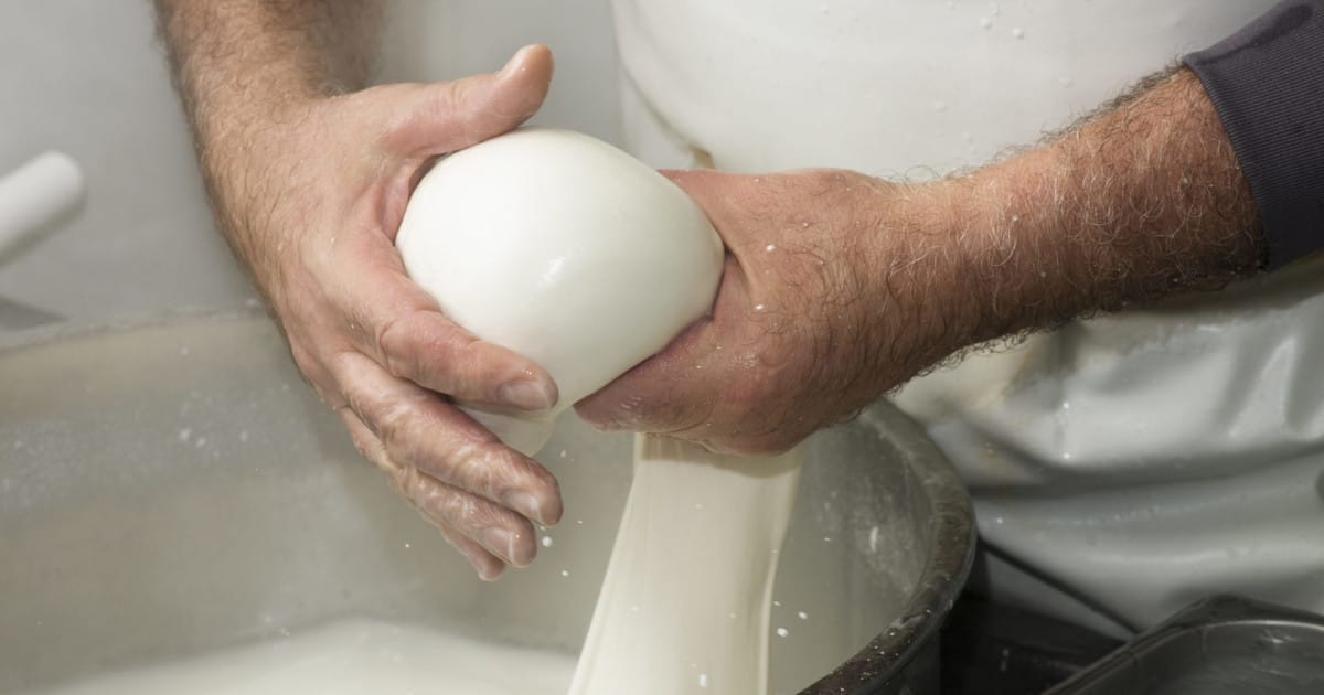 mozzarella di bufala