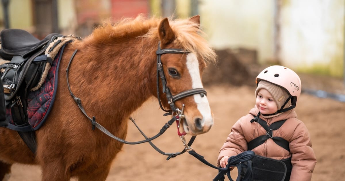 Giornata del Cavallo Natalizia