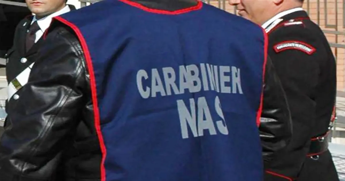 Carabiniere con pettorina NAS