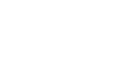 WRS Web Rete Sud News